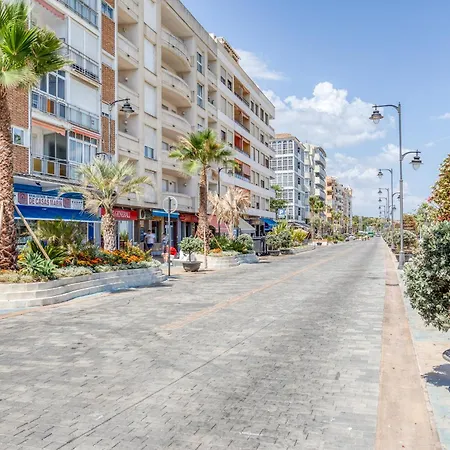 Hanami Avenida De Espana La Gaviota