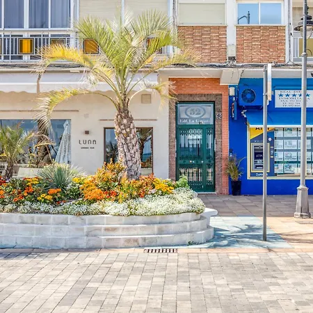 Hanami Avenida De Espana La Gaviota *