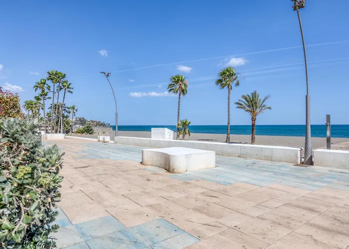 Hanami Avenida De Espana La Gaviota 에스테포나