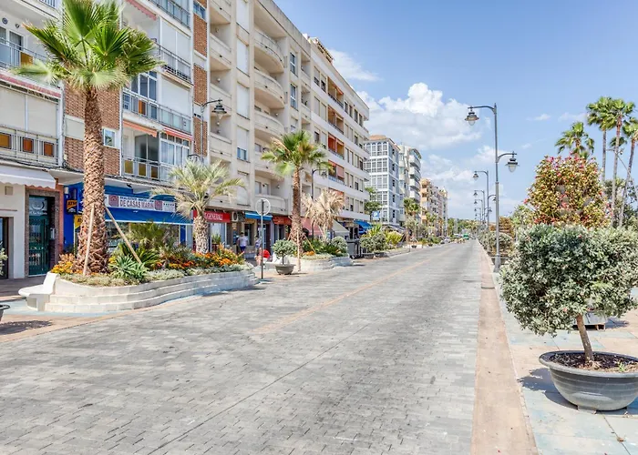 Hanami Avenida De Espana La Gaviota